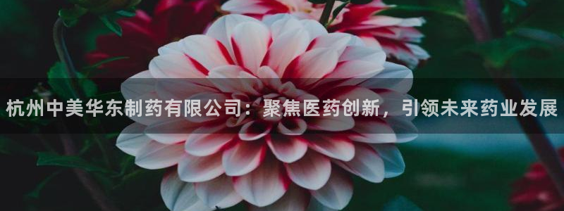 九游会老哥俱乐部官方网站：杭州中美华东制药有限公司：聚焦医药创新，引领未来药业发展
