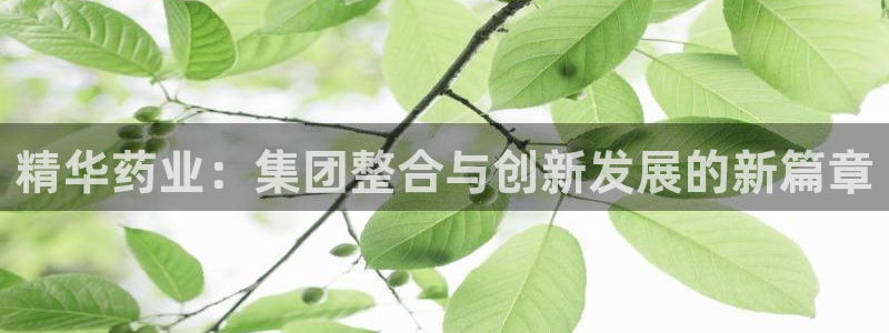 九游会老哥必备的交流社区九：精华药业：集团整合与创新发展的新篇章