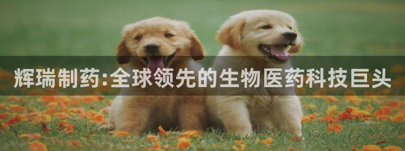 ag九游会老哥：辉瑞制药:全球领先的生物医药科技巨头