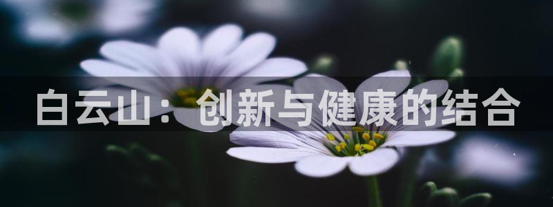九游会老哥俱乐部必备的交流社区：白云山：创新与健康的结合