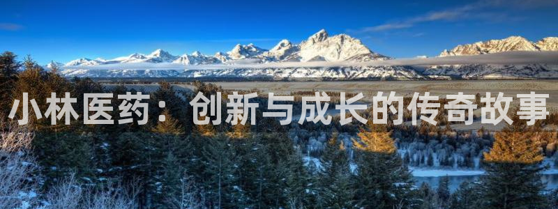 老哥吧九游会下架吗：小林医药：创新与成长的传奇故事