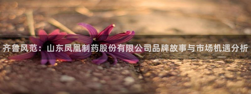 老哥吧九游会下架吗