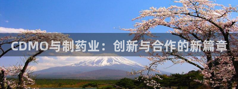 九游会老哥：CDMO与制药业：创新与合作的新篇章