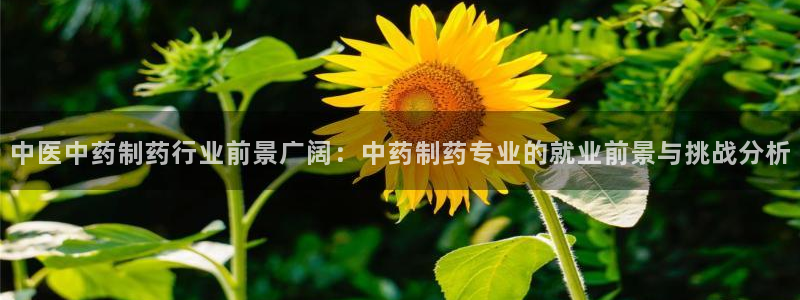 九游会老哥俱乐部交流社区：中医中药制药行业前景广阔：中药制药专业的就业前景与挑战分析