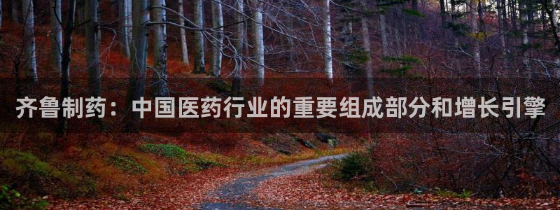九游会老哥俱乐部官方网站：齐鲁制药：中国医药行业的重要组成部分和增长引擎