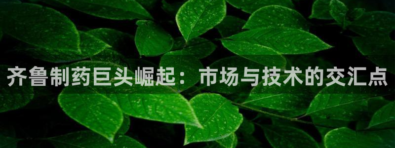 usdt九游会老哥俱乐部：齐鲁制药巨头崛起：市场与技术的交汇点
