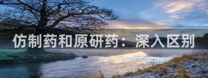 ag九游会老哥俱乐部：仿制药和原研药：深入区别
