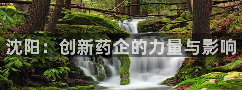 九游会老哥俱乐部必备的交流社区论坛：沈阳：创新药企的力量与影响