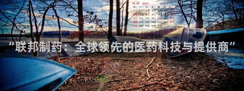 老哥吧九游会下架吗：“联邦制药：全球领先的医药科技与提供商”
