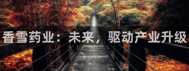 九游会老哥：香雪药业：未来，驱动产业升级