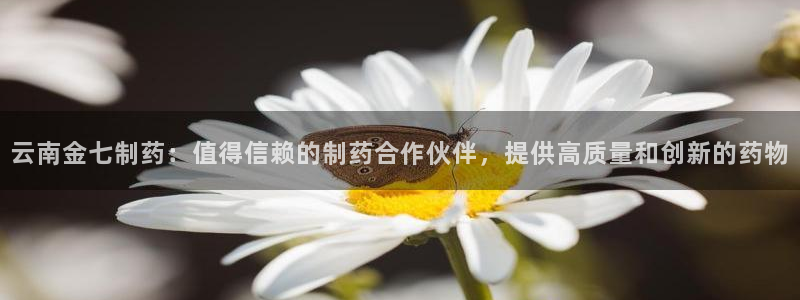 九游会老哥俱乐部官网首页论坛：云南金七制药：值得信赖的制药合作伙伴，提供高质量和创新的药物