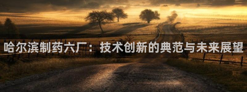 九游会老哥俱乐部官网：哈尔滨制药六厂：技术创新的典范与未来展望