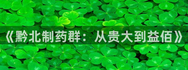 九游老哥俱乐部官网登录网址：《黔北制药群：从贵大到益佰》