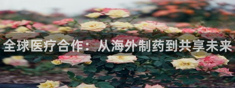 ag九游老哥俱乐部