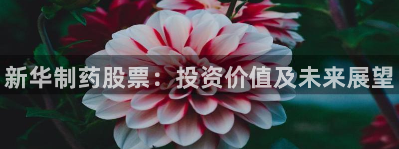 老哥吧九游会：新华制药股票：投资价值及未来展望