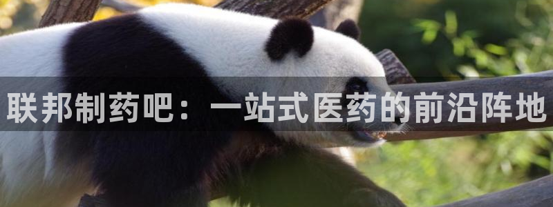 九游会老哥俱乐部论坛版：联邦制药吧：一站式医药的前沿阵地