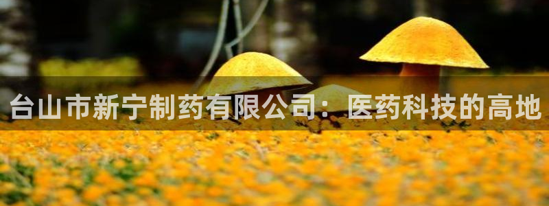 九游会老哥必备的交流社区九：台山市新宁制药有限公司：医药科技的高地