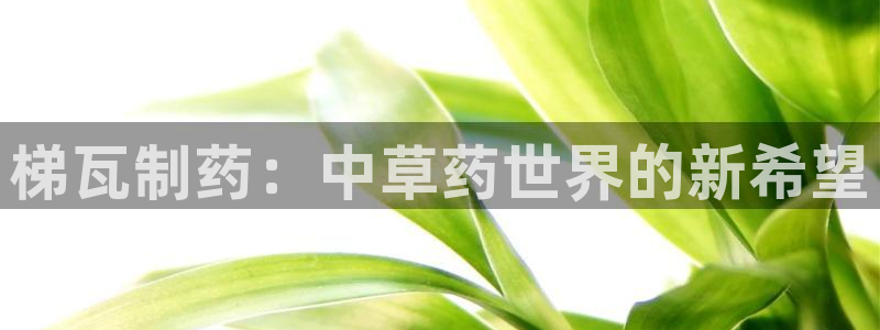 九游老哥俱乐部官网登录不了：梯瓦制药：中草药世界的新希望