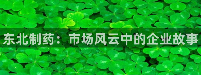9游会老哥：东北制药：市场风云中的企业故事